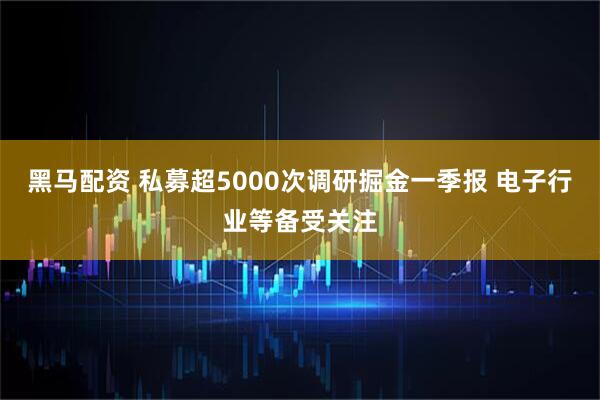黑马配资 私募超5000次调研掘金一季报 电子行业等备受关注