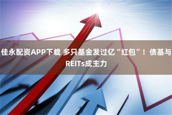 佳永配资APP下载 多只基金发过亿“红包”！债基与REITs成主力