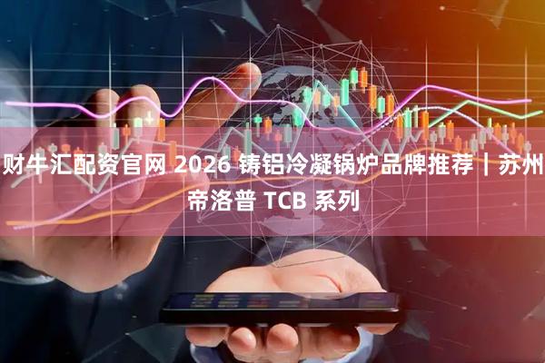财牛汇配资官网 2026 铸铝冷凝锅炉品牌推荐｜苏州帝洛普 TCB 系列